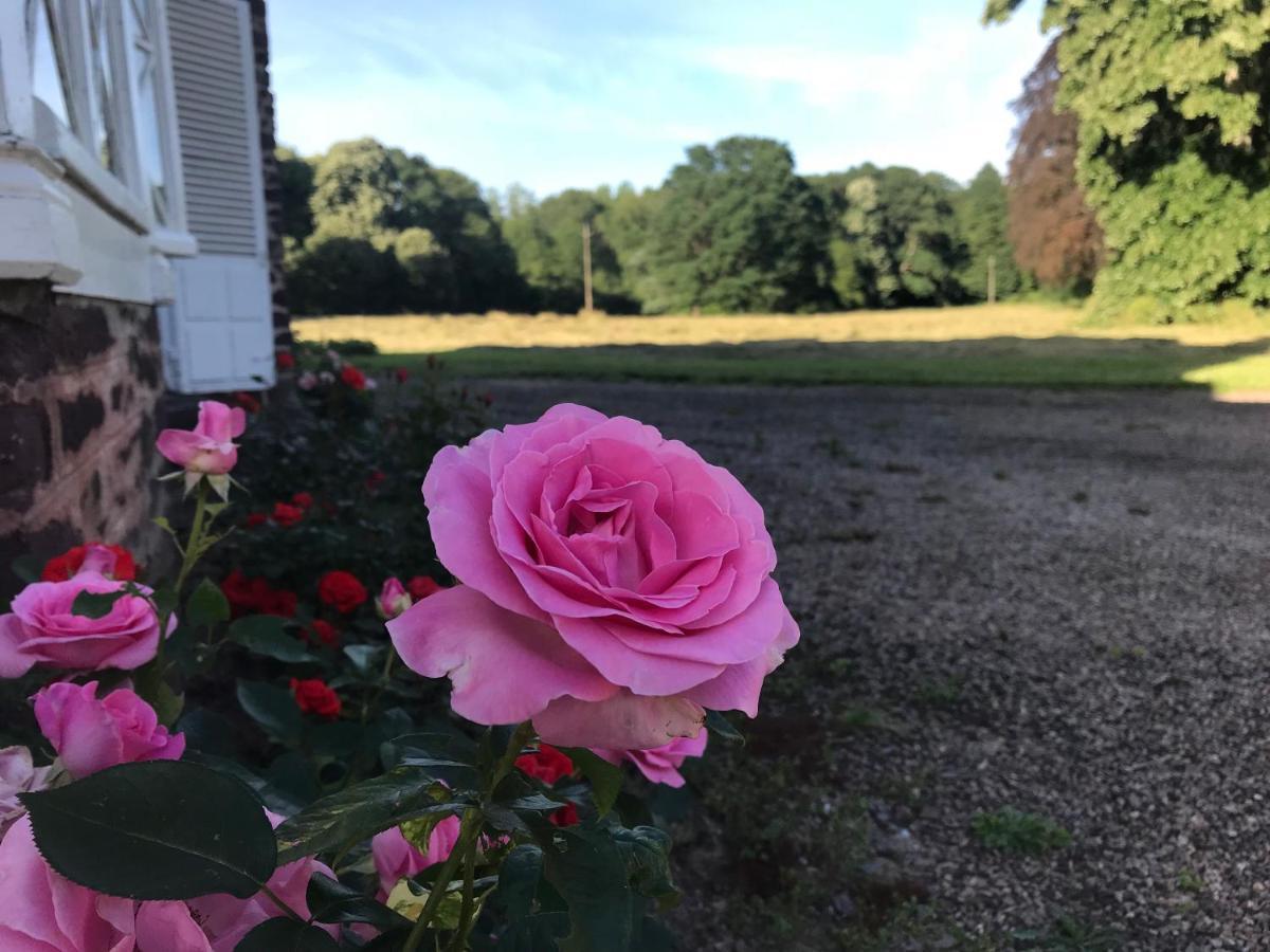 Bed & Breakfast Domaine Des Longrais Saint-Thurial